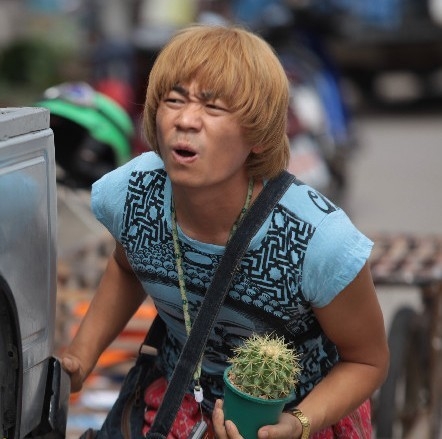 王宝强：从草根到一线明星的演艺之路！(2)