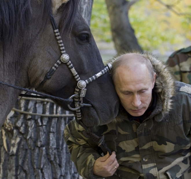 超级硬汉普京(2)