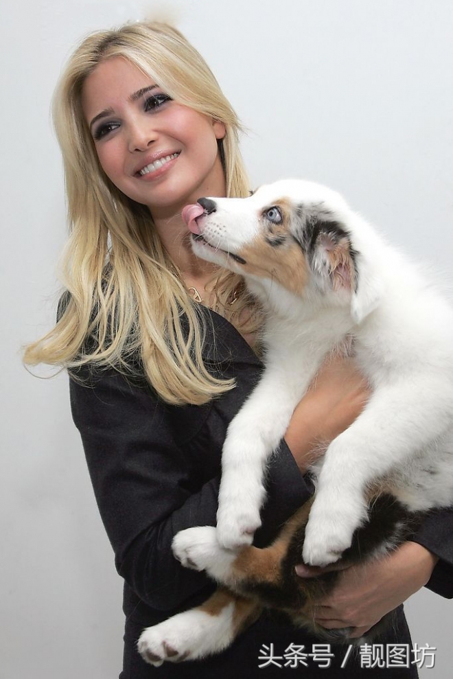 美国总统之女伊万卡很喜欢养宠物狗，抱着小狗的照片也是美美哒！(1)