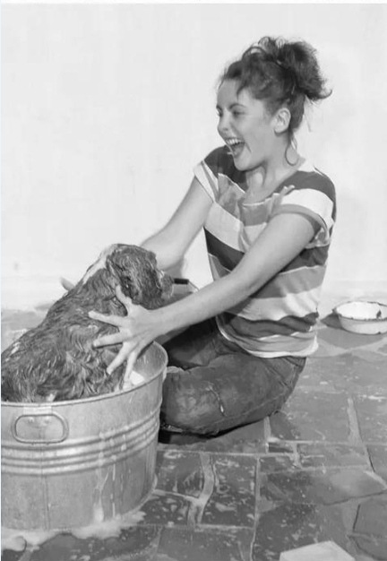 名人年轻时的照片，14岁斯嘉丽已然很美，25年前的憨豆长这样(2)