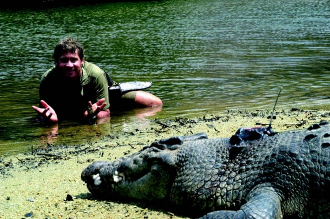 还记得秒杀贝爷的鳄鱼先生么？9年前死于毒刺，如今女儿继承衣钵(2)