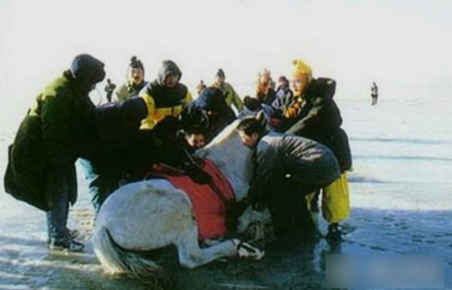 86版《西游记》，那些你不知道的故事(4)