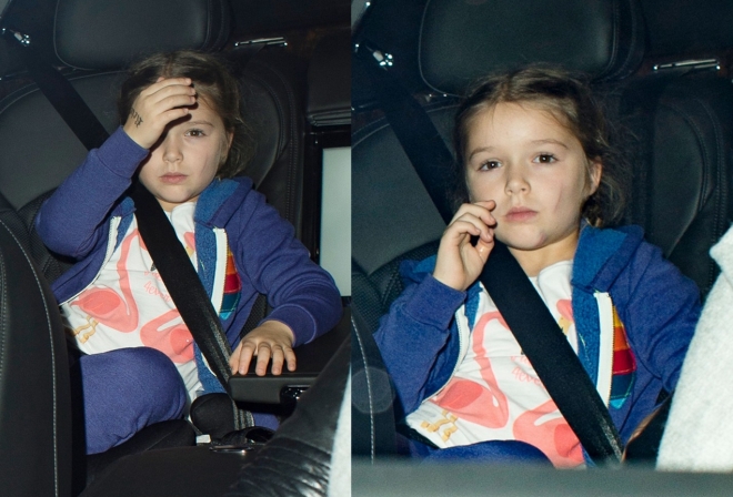 眼神杀！小七继承贝克汉姆最强基因 将来必迷倒一片(1)