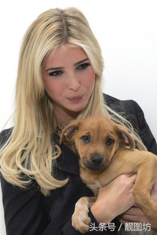 美国总统之女伊万卡很喜欢养宠物狗，抱着小狗的照片也是美美哒！(1)