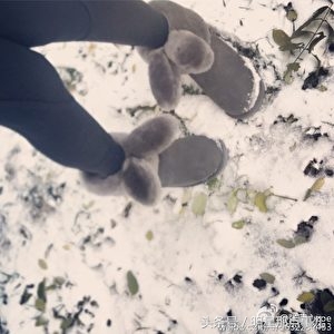 郑恺化身郑老板，到处给朋友送兔子鞋获赞并获得大卖(3)