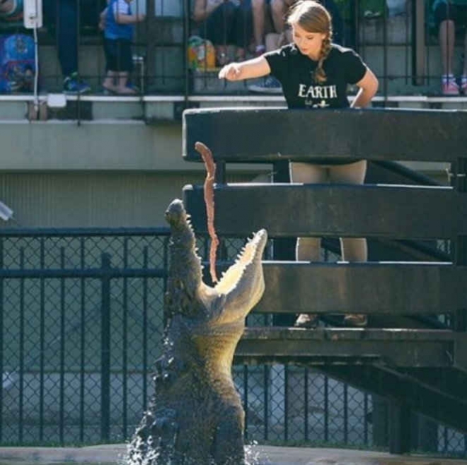 还记得秒杀贝爷的鳄鱼先生么？9年前死于毒刺，如今女儿继承衣钵(5)
