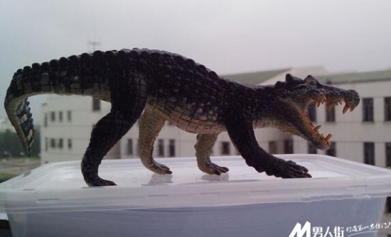 远古十大凶兽：巨兽梅尔维尔鲸体长约为60英尺(2)