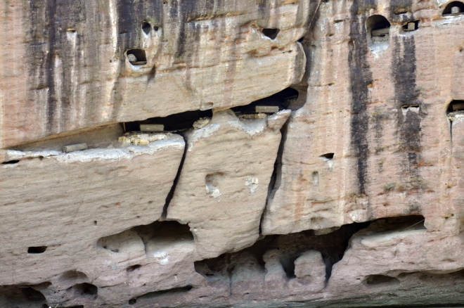 离河面高达几十米悬棺在古代如何安放进洞穴？现在还是个不解之迷(6)