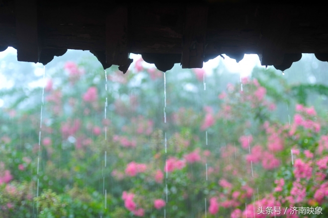 济南的五龙潭水底下到底藏了什么？(4)