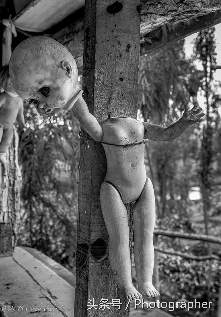 墨西哥有个阴森恐怖的娃娃岛(6)