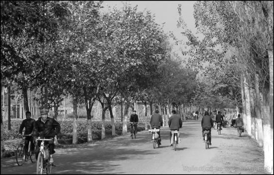 充满真善美的16张罕见照，最后一张的饭碗亮了(5)