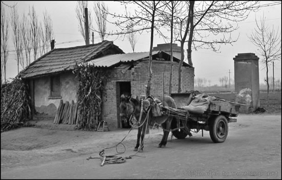 充满真善美的16张罕见照，最后一张的饭碗亮了(3)