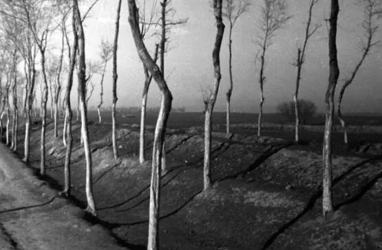 不能错过！10张图再现1942年河南大饥荒！(2)