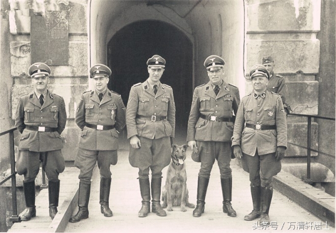 二战德军军官们和他们的宠物，不过最令他们忌惮的是苏联反坦克犬(1)