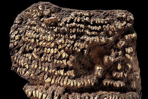 世界上最古老的物品长这样 安全套还可以循环使用(3)