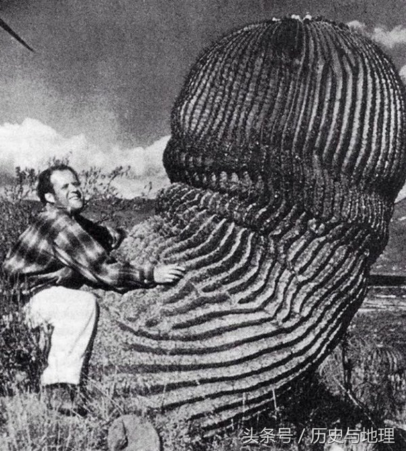 难得一见的17张历史罕见照集锦(3)