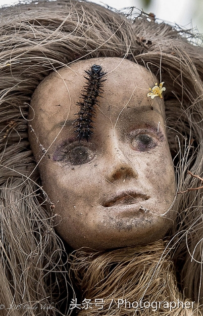 墨西哥有个阴森恐怖的娃娃岛(3)