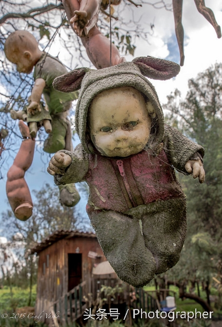 墨西哥有个阴森恐怖的娃娃岛(6)