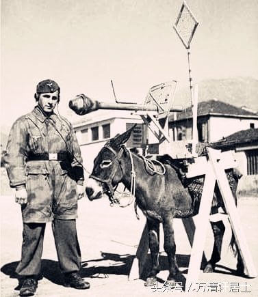 二战德军军官们和他们的宠物，不过最令他们忌惮的是苏联反坦克犬(1)