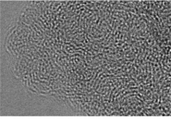 喂蚕宝宝吃这物 竟然吐出“超级蚕丝”(2)