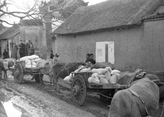 不能错过！10张图再现1942年河南大饥荒！(4)