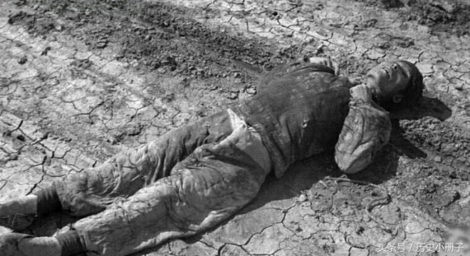 心痛：美国记者镜头下真实的河南饥民吃树皮老照片(2)