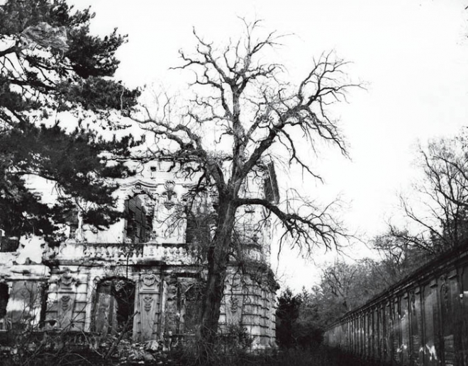 老照片记录圆明园被毁13年后，曾经恢弘的帝皇园林淹没在荒草中(3)