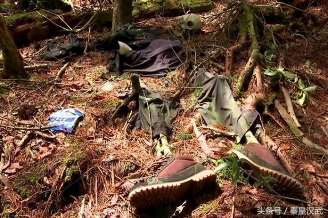 世界七大阴森恐怖之地，我是没勇气去(2)