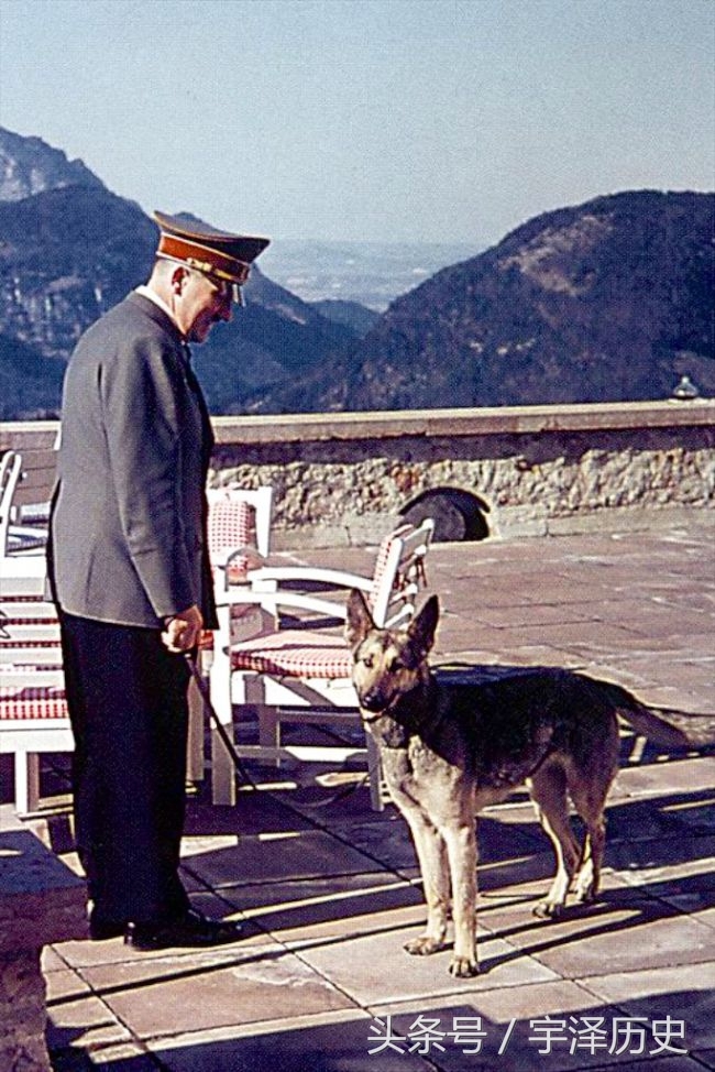 旧影回眸：希特勒与他的爱犬——布隆迪(1)