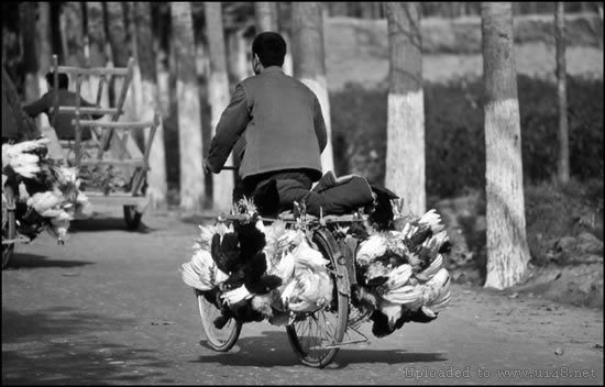 充满真善美的16张罕见照，最后一张的饭碗亮了(3)