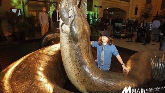 远古十大凶兽：巨兽梅尔维尔鲸体长约为60英尺(2)