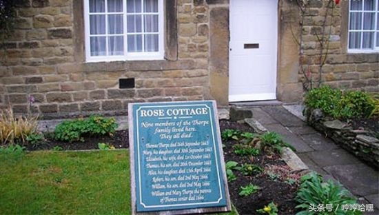 全球十大灾难遗址(3)