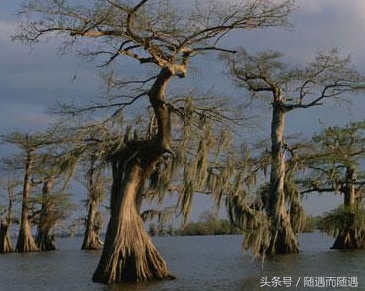 世界上有这样几个阴森恐怖的地方，至今仍未有人敢冒险前去(2)