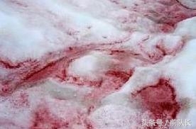 神秘十大谜：有一个疑似解出，有一个无人敢猜(1)