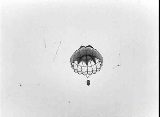 11张老照片直击苏军最奇葩试验：用大炮把猪打上天(3)