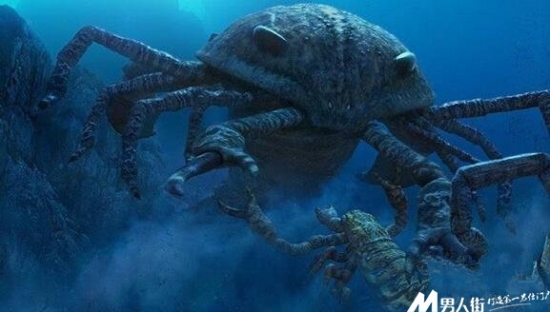 远古十大凶兽：巨兽梅尔维尔鲸体长约为60英尺(3)