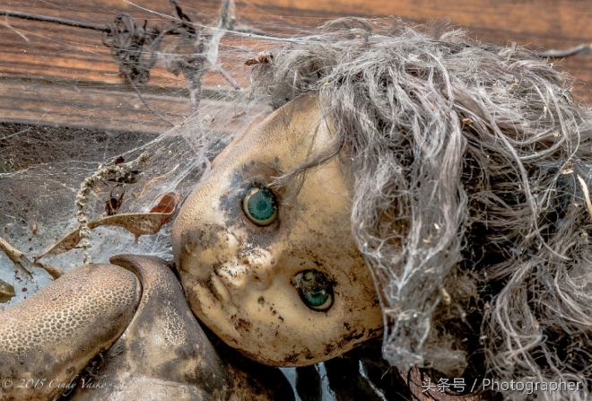 墨西哥有个阴森恐怖的娃娃岛(4)