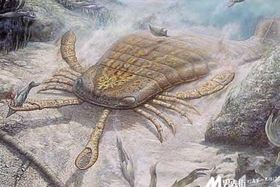远古十大凶兽：巨兽梅尔维尔鲸体长约为60英尺(2)