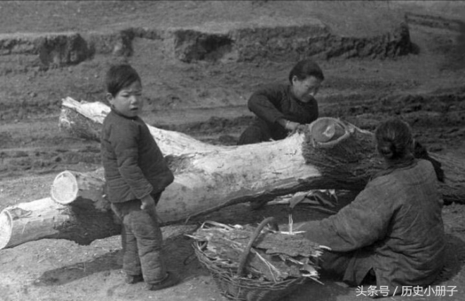 心痛：美国记者镜头下真实的河南饥民吃树皮老照片(3)