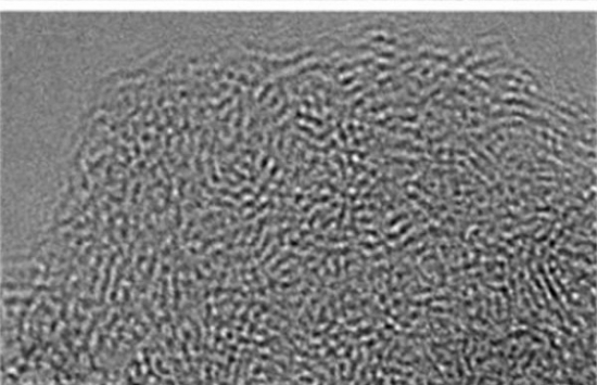 喂蚕宝宝吃这物 竟然吐出“超级蚕丝”(2)