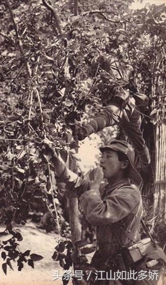 别被抗日神剧忽悠了！这才是真实的侵华日军，无恶不作(5)