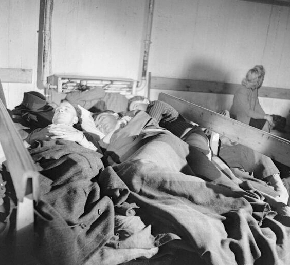 二战时，德国被盟军占据后的真实状况(3)