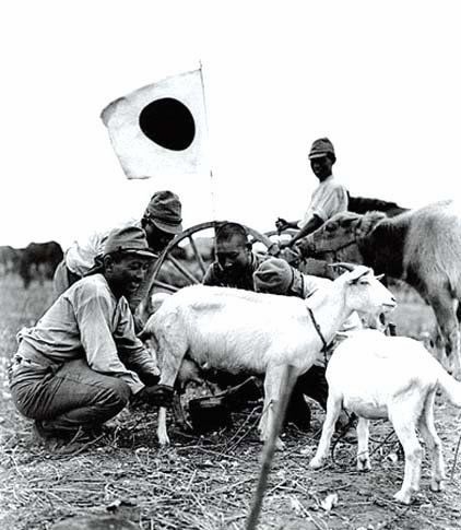 中国战场上的日本兵，倒数第二张看了让人难受(3)