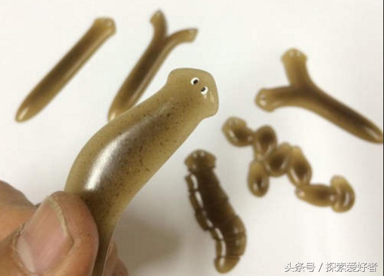 你不知道的6个长生不老冷知识 单身狗得永生？(2)