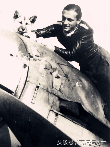 二战德军军官们和他们的宠物，不过最令他们忌惮的是苏联反坦克犬(3)