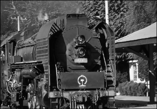 充满真善美的16张罕见照，最后一张的饭碗亮了(2)