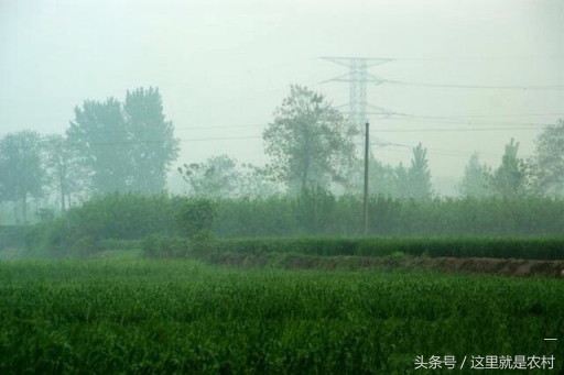 直击六位亡国之君的陵墓，与吴三桂的墓地相比，简直太逊色了；(3)