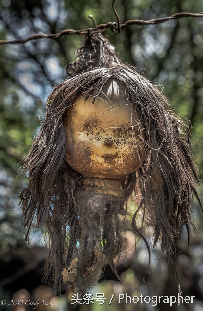 墨西哥有个阴森恐怖的娃娃岛(2)