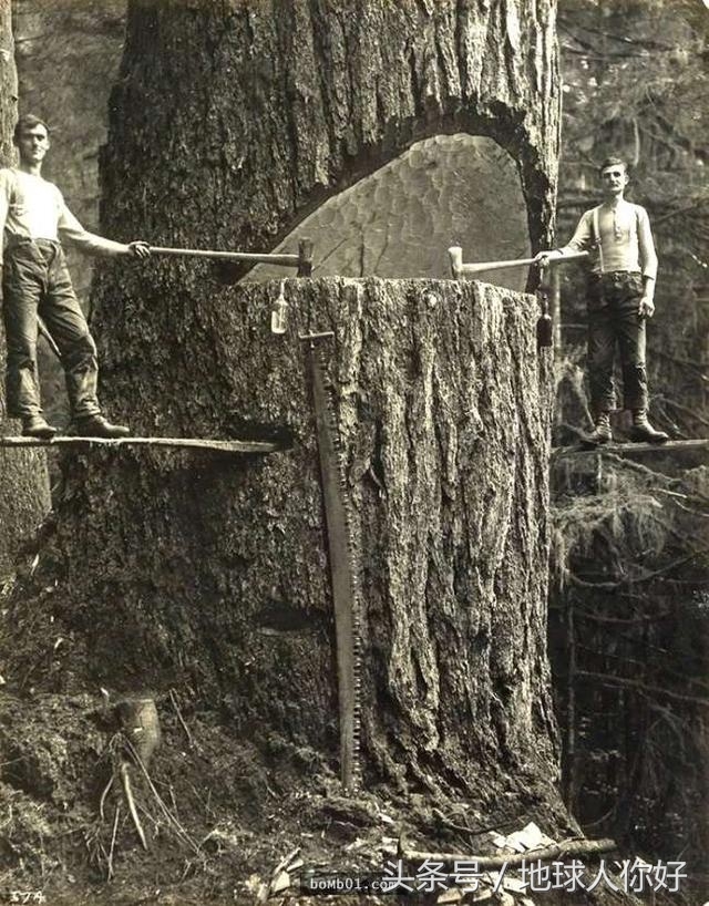 历史课本中没有的“珍贵照片”，第一张非常震撼(1)