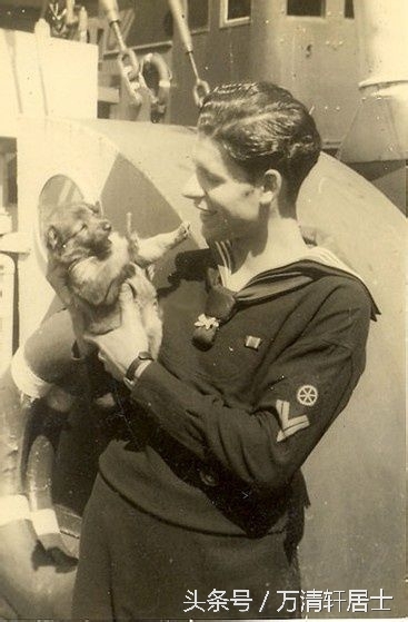 二战德军军官们和他们的宠物，不过最令他们忌惮的是苏联反坦克犬(3)